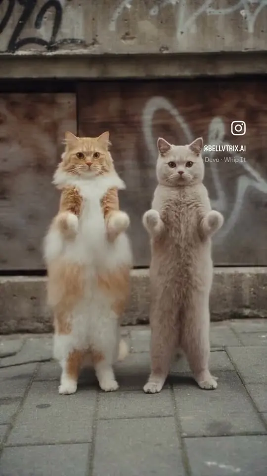 Two AI-generated cats dancing by a graffiti wall